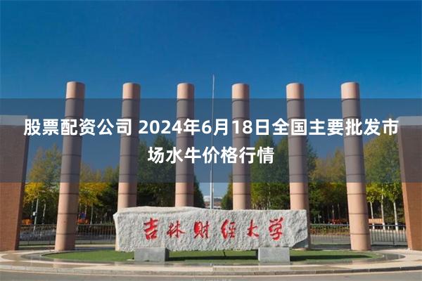 股票配资公司 2024年6月18日全国主要批发市场水牛价格行情