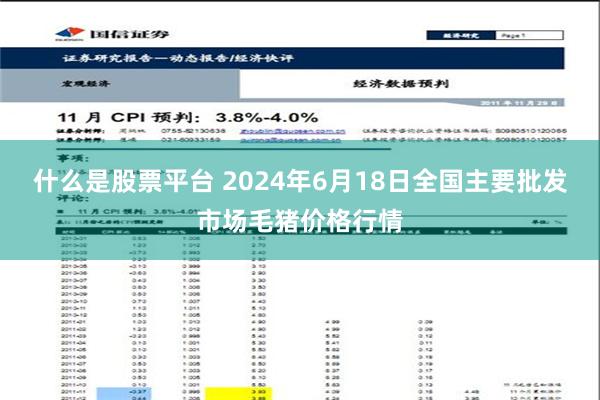 什么是股票平台 2024年6月18日全国主要批发市场毛猪价格行情