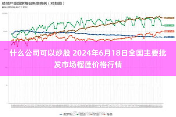 什么公司可以炒股 2024年6月18日全国主要批发市场榴莲价格行情