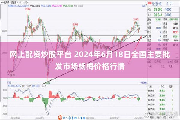 网上配资炒股平台 2024年6月18日全国主要批发市场杨梅价格行情