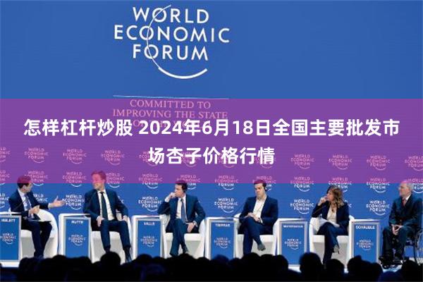 怎样杠杆炒股 2024年6月18日全国主要批发市场杏子价格行情