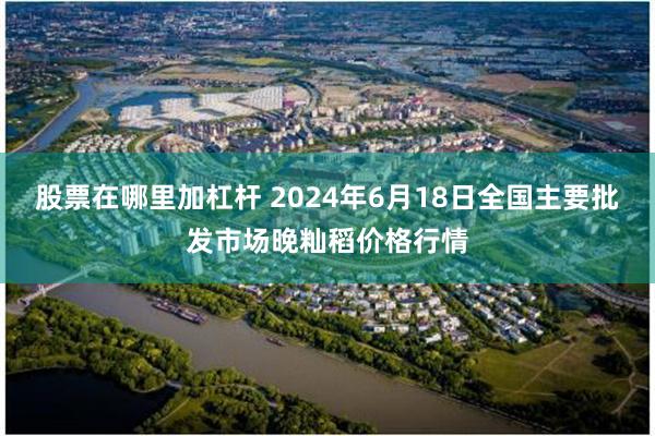 股票在哪里加杠杆 2024年6月18日全国主要批发市场晚籼稻价格行情