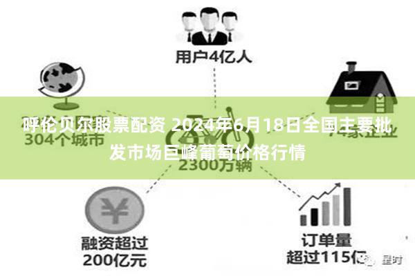 呼伦贝尔股票配资 2024年6月18日全国主要批发市场巨峰葡萄价格行情