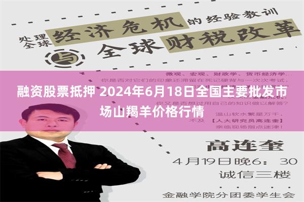 融资股票抵押 2024年6月18日全国主要批发市场山羯羊价格行情