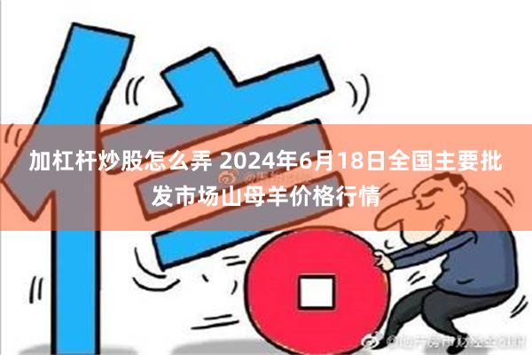 加杠杆炒股怎么弄 2024年6月18日全国主要批发市场山母羊价格行情