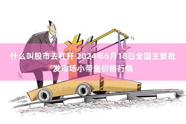 什么叫股市去杠杆 2024年6月18日全国主要批发市场小带鱼价格行情