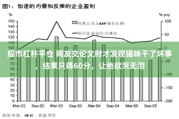 股市杠杆平仓 网友交论文时才发现猫咪干了坏事，结果只得60分，让他欲哭无泪