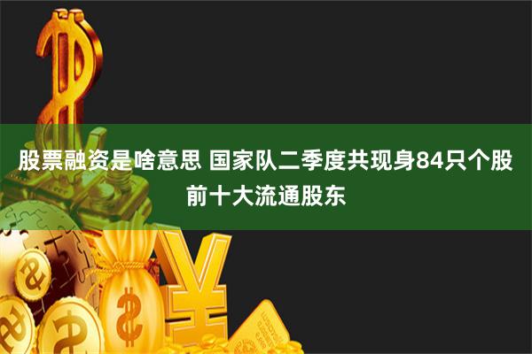 股票融资是啥意思 国家队二季度共现身84只个股前十大流通股东