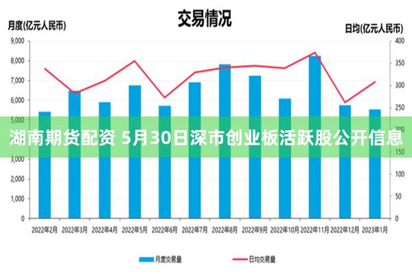 湖南期货配资 5月30日深市创业板活跃股公开信息