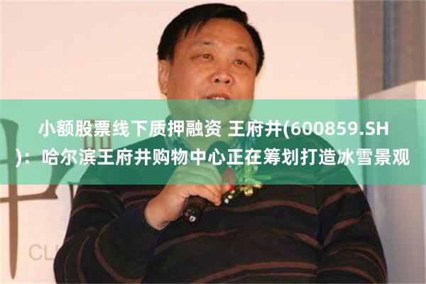 小额股票线下质押融资 王府井(600859.SH)：哈尔滨王府井购物中心正在筹划打造冰雪景观