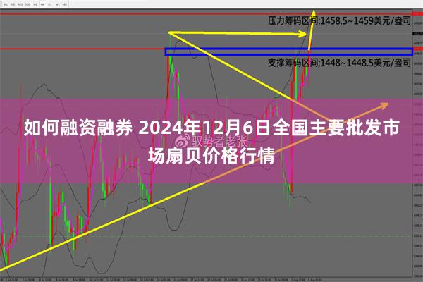 如何融资融券 2024年12月6日全国主要批发市场扇贝价格行情