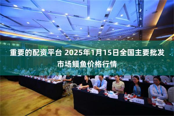 重要的配资平台 2025年1月15日全国主要批发市场鳗鱼价格行情